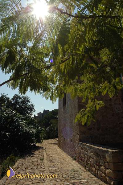 Nom de l'image : D1174167-1 — Description :  Franciscaine Rinovati (Soeurs) à Tusa (Sicile)