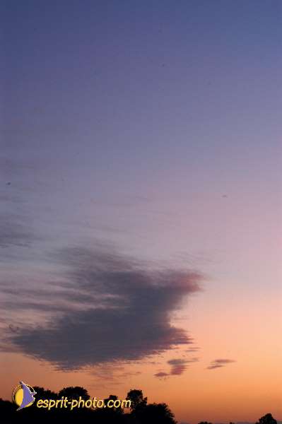 Nom de l'image : D1165667-01 — Description :  Lourdes 2004 - Pèlerinage du Pape à Lourdes