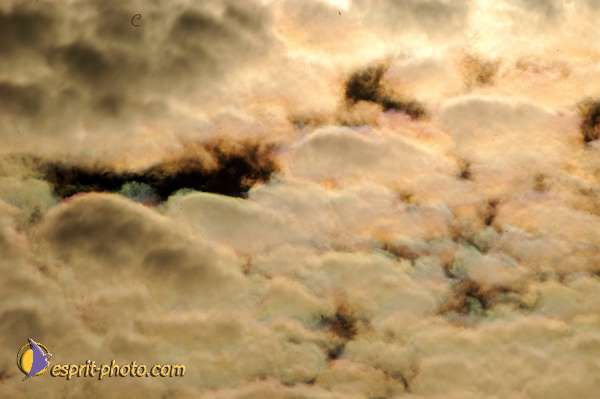 Nom de l'image : D1165804-01 — Description :  Genissac