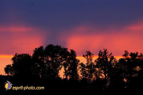 Nom de l'image : D1165847-01 — Description :  Genissac