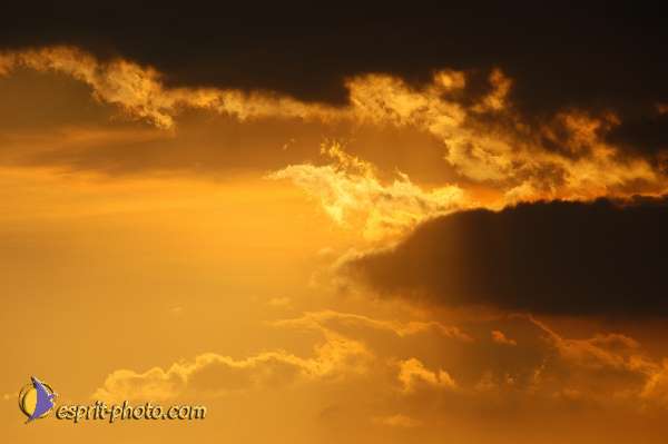 Nom de l'image : D1168498-1 — Description :  Abbaye de Montecassino (Latina-Italie)