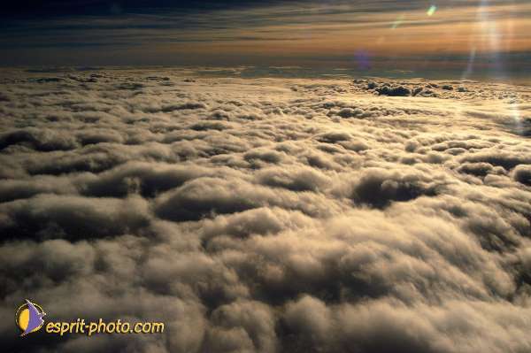 Nom de l'image : D1184841-1 — Description :  Mothers and Fatherprayer