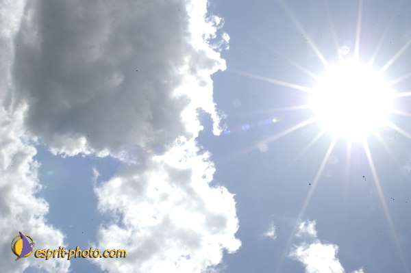 Nom de l'image : EG-Nat-330 — Description :