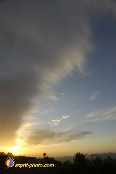 Nom de l'image : Nat-0960 — Description :