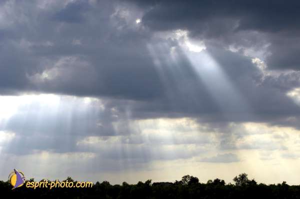 Nom de l'image : Nat-1056 — Description :