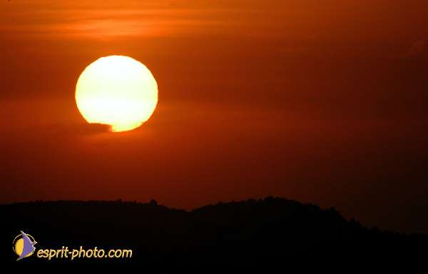 Nom de l'image : D1034945 — Description :  Abbaye du Canon - Aurons (Bouche de Rhône)