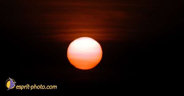 Nom de l'image : D1034949 — Description :  Abbaye du Canon - Aurons (Bouche de Rhône)
