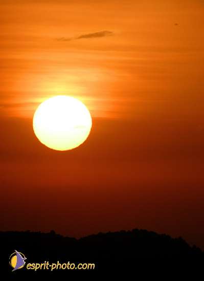 Nom de l'image : D1034954 — Description :  Abbaye du Canon - Aurons (Bouche de Rhône)
