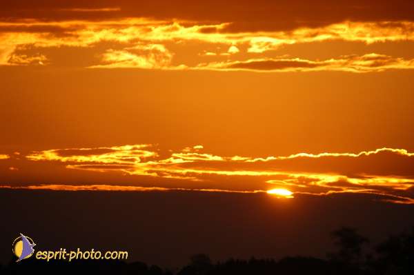 Nom de l'image : D1071300 — Description :