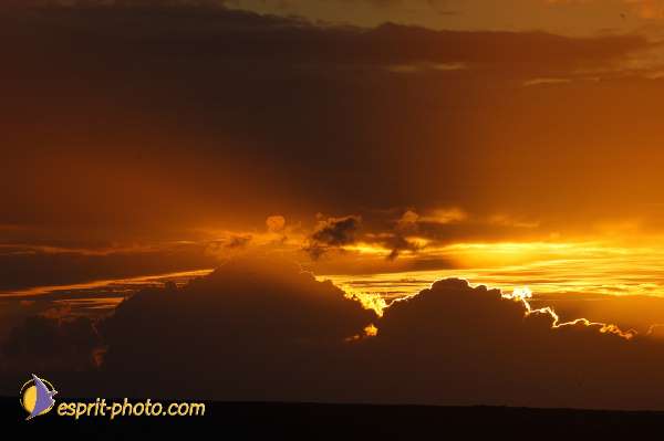 Nom de l'image : D1159096-01 — Description :  Vagues (Atlantique - Portugal - Dunes de la Costa do Prata)
