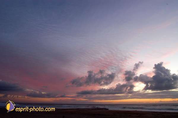 Nom de l'image : D1159221-01 — Description :  Vagues (Atlantique - Portugal - Dunes de la Costa do Prata)
