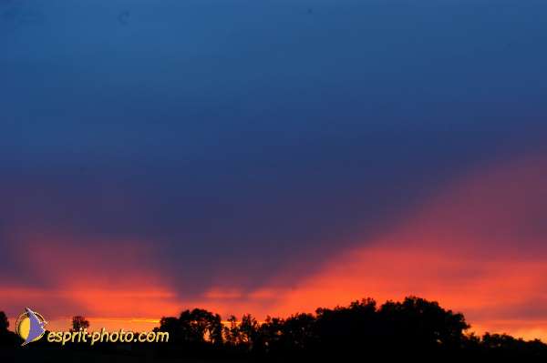 Nom de l'image : D1165833-01 — Description :  Genissac