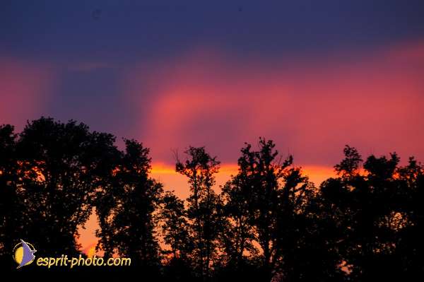 Nom de l'image : D1165855-01 — Description :  Genissac