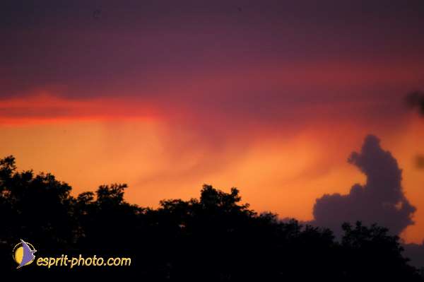 Nom de l'image : D1165861-01 — Description :  Genissac