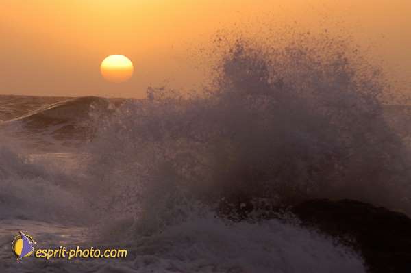 Nom de l'image : D1167979-1 — Description :  Vagues à Sabaudia (Latina-Italie)