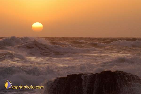 Nom de l'image : D1167981-1 — Description :  Vagues à Sabaudia (Latina-Italie)