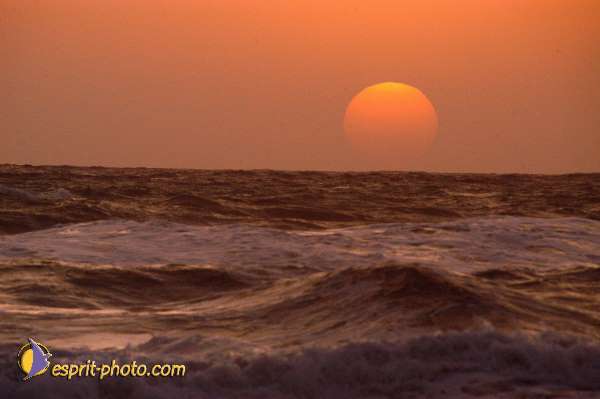 Nom de l'image : D1168007-1 — Description :  Vagues à Sabaudia (Latina-Italie)