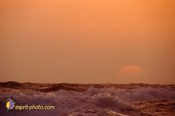 Nom de l'image : D1168035-1 — Description :  Vagues à Sabaudia (Latina-Italie)