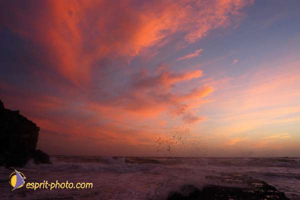 Nom de l'image : D1168161-1 — Description :  Vagues à Sabaudia (Latina-Italie)