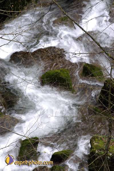 Nom de l'image : D1010276 — Description :