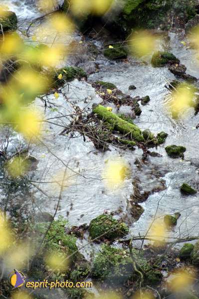 Nom de l'image : D1010282 — Description :