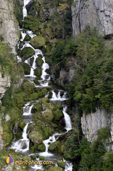 Nom de l'image : D1010361 — Description :