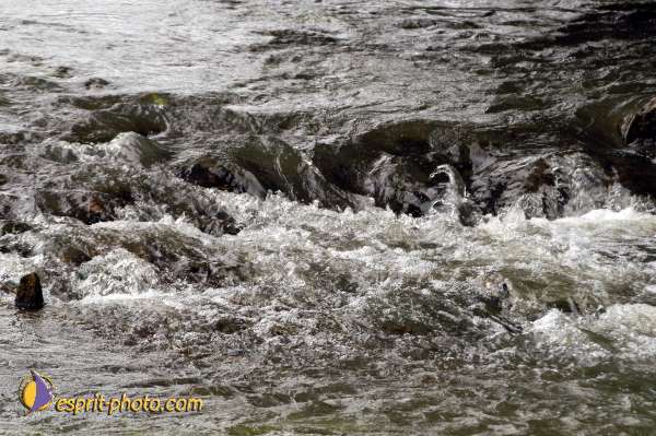 Nom de l'image : D1060633 — Description :  Festival Saint Jean (jeunes de 15-25ans)
