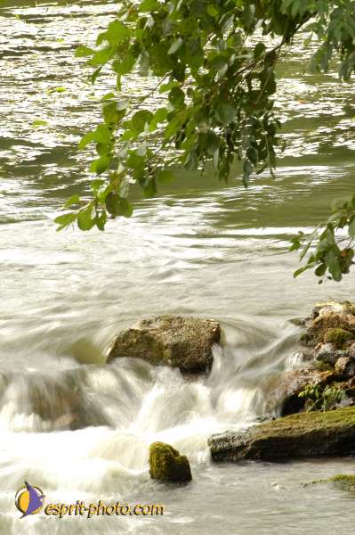 Nom de l'image : D1061106-01 — Description :  Festival Saint Jean (jeunes de 15-25ans)