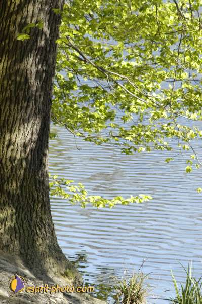 Nom de l'image : EG-Nat-171 — Description :