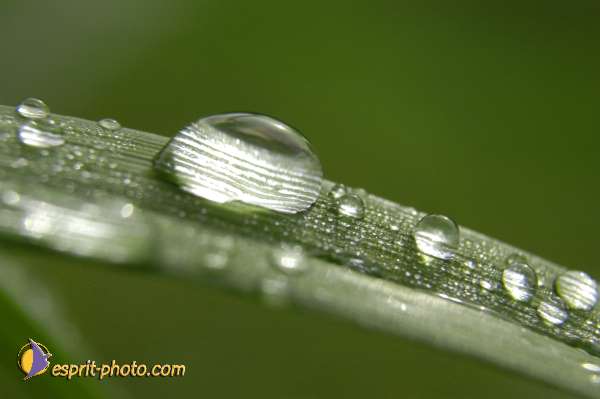 Nom de l'image : EG-Nat-196 — Description :