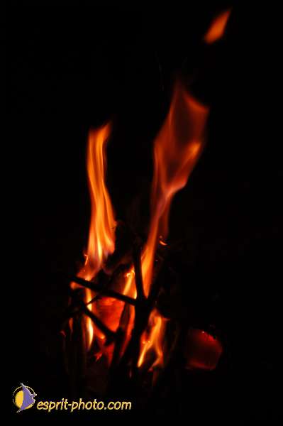 Nom de l'image : EG-300-2529 — Description :