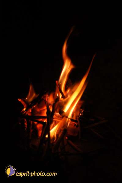 Nom de l'image : EG-300-2537 — Description :