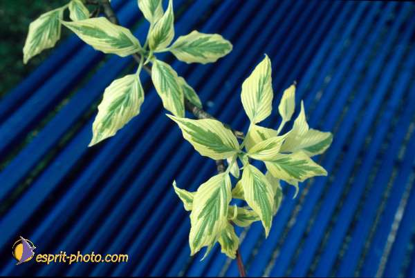 Nom de l'image : EG-Nat-714 — Description :