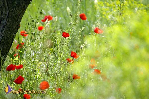 Nom de l'image : D1034160 — Description :  Nouvelle évangelisation - Week-end retraite avec Mgr Rey et la F