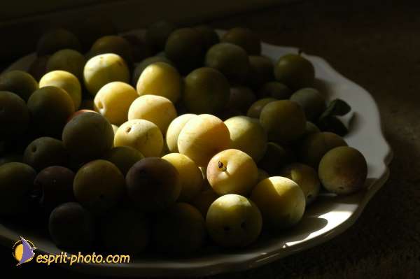 Nom de l'image : DSC_2451 — Description :