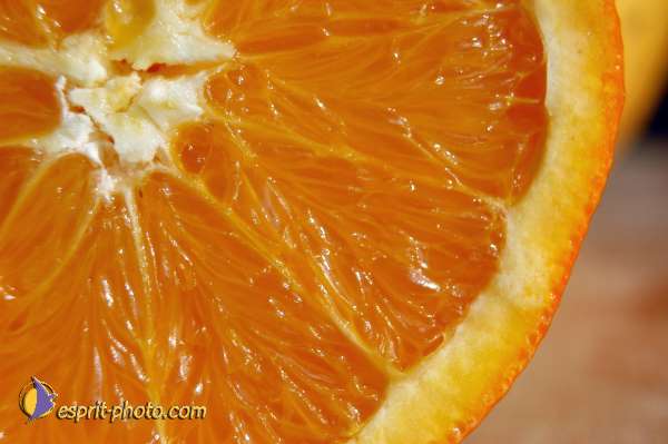 Nom de l'image : EG-4-4107-01 — Description :