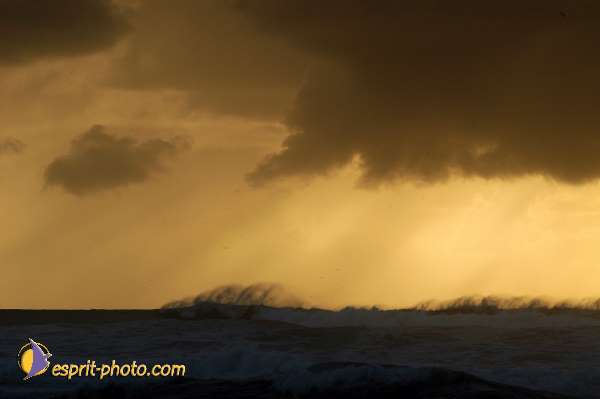 Nom de l'image : D1158806-01 — Description :  Vagues (Atlantique - Portugal - Dunes de la Costa do Prata)