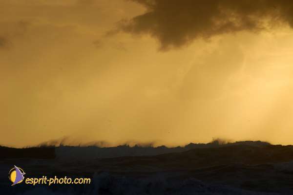 Nom de l'image : D1158825-01 — Description :  Vagues (Atlantique - Portugal - Dunes de la Costa do Prata)
