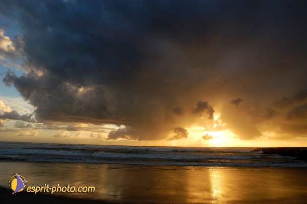 Nom de l'image : D1158926-01 — Description :  Vagues (Atlantique - Portugal - Dunes de la Costa do Prata)