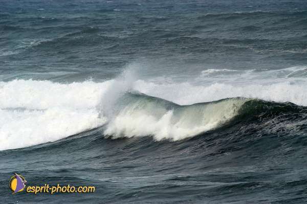 Nom de l'image : D1159264-01 — Description :  Vagues (Atlantique - Portugal - Dunes de la Costa do Prata)