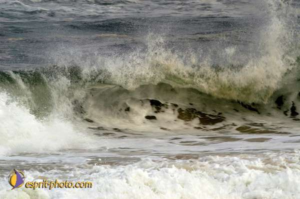 Nom de l'image : D1159281-01 — Description :  Vagues (Atlantique - Portugal - Dunes de la Costa do Prata)