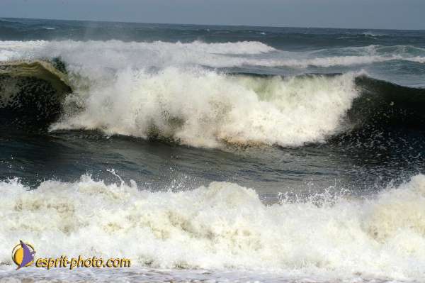 Nom de l'image : D1159298-01 — Description :  Vagues (Atlantique - Portugal - Dunes de la Costa do Prata)