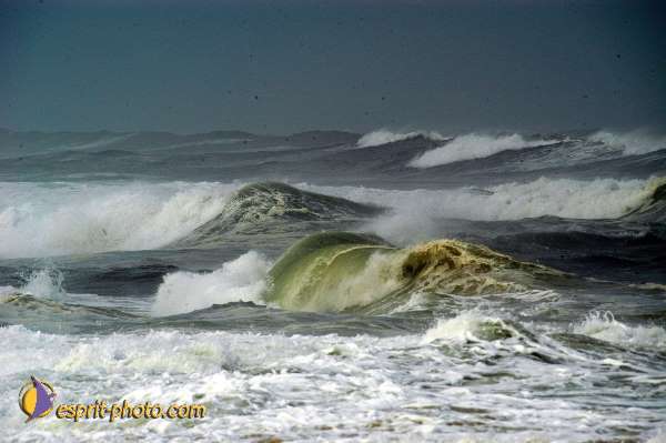 Nom de l'image : D1159315-01 — Description :  Vagues (Atlantique - Portugal - Dunes de la Costa do Prata)