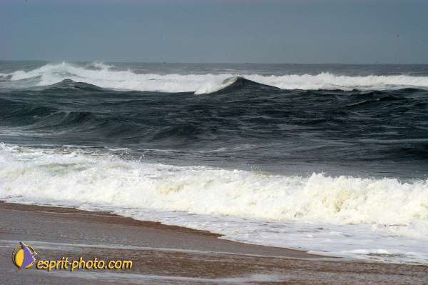 Nom de l'image : D1159322-01 — Description :  Vagues (Atlantique - Portugal - Dunes de la Costa do Prata)