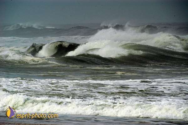 Nom de l'image : D1159331-01 — Description :  Vagues (Atlantique - Portugal - Dunes de la Costa do Prata)