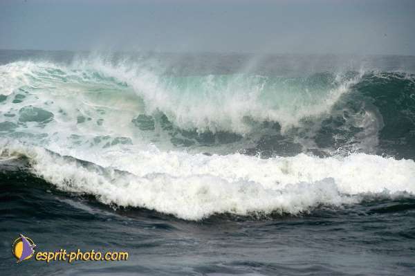 Nom de l'image : D1159341-01 — Description :  Vagues (Atlantique - Portugal - Dunes de la Costa do Prata)
