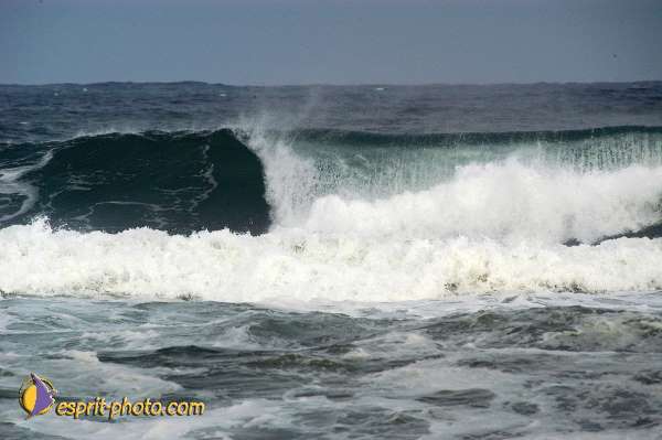 Nom de l'image : D1159370-01 — Description :  Vagues (Atlantique - Portugal - Dunes de la Costa do Prata)