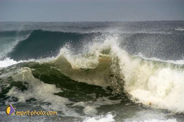 Nom de l'image : D1159380-01 — Description :  Vagues (Atlantique - Portugal - Dunes de la Costa do Prata)