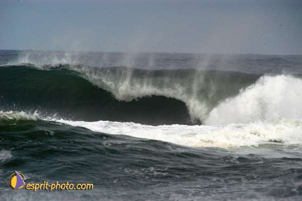 Nom de l'image : D1159385-01 — Description :  Vagues (Atlantique - Portugal - Dunes de la Costa do Prata)