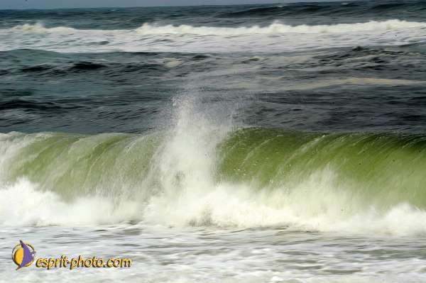 Nom de l'image : D1159462-01 — Description :  Vagues (Atlantique - Portugal - Dunes de la Costa do Prata)